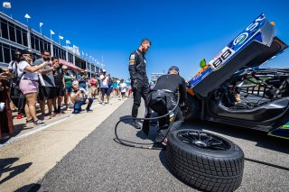 Grid walk at GT World Challenge America Powered by AWS, SRO America, Barber Motorsports Park, Birmingham, AL, Sept 5 - 7, 2025
 | Fabian Lagunas | www.lagunasphotography.com | For SRO Motorsports Group 2025