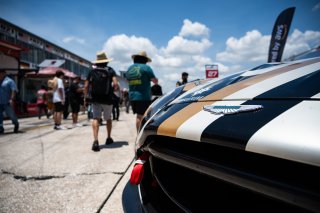 Grid walk at GT World Challenge America Powered by AWS, SRO America, Sebring International Raceway, Sebring, FL, May 15-18, 2025.
 | SRO Motorsports Group