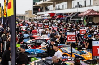 Grid walk at GT World Challenge America Powered by AWS, SRO America, Circuit of the Americas, Austin, TX, April 25-27, 2025.
 | Fabian Lagunas | www.lagunasphotography.com | For SRO Motorsports Group 2025