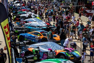 Grid walk at GT World Challenge America Powered by AWS, SRO America, Barber Motorsports Park, Birmingham, AL, Sept 5 - 7, 2025
 | Fabian Lagunas | www.lagunasphotography.com | For SRO Motorsports Group 2025